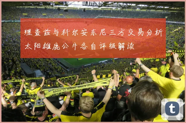 理查兹与科尔安东尼三方交易分析太阳雄鹿公牛各自评级解读