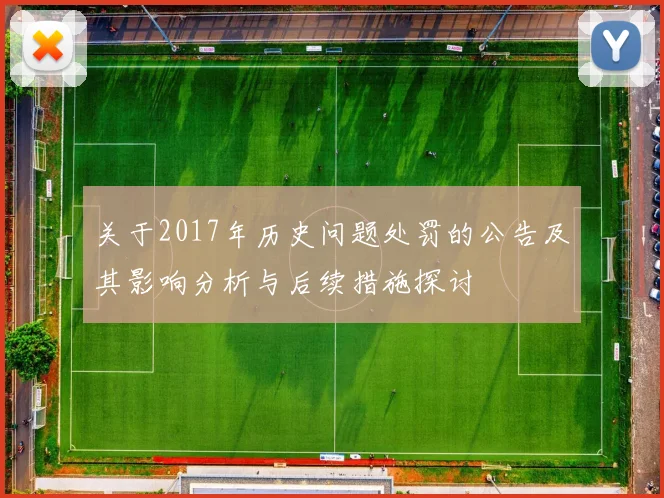 关于2017年历史问题处罚的公告及其影响分析与后续措施探讨