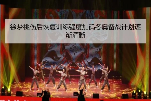 徐梦桃伤后恢复训练强度加码冬奥备战计划逐渐清晰（xingkong）